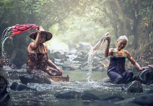 s-vietnam-prani.jpg